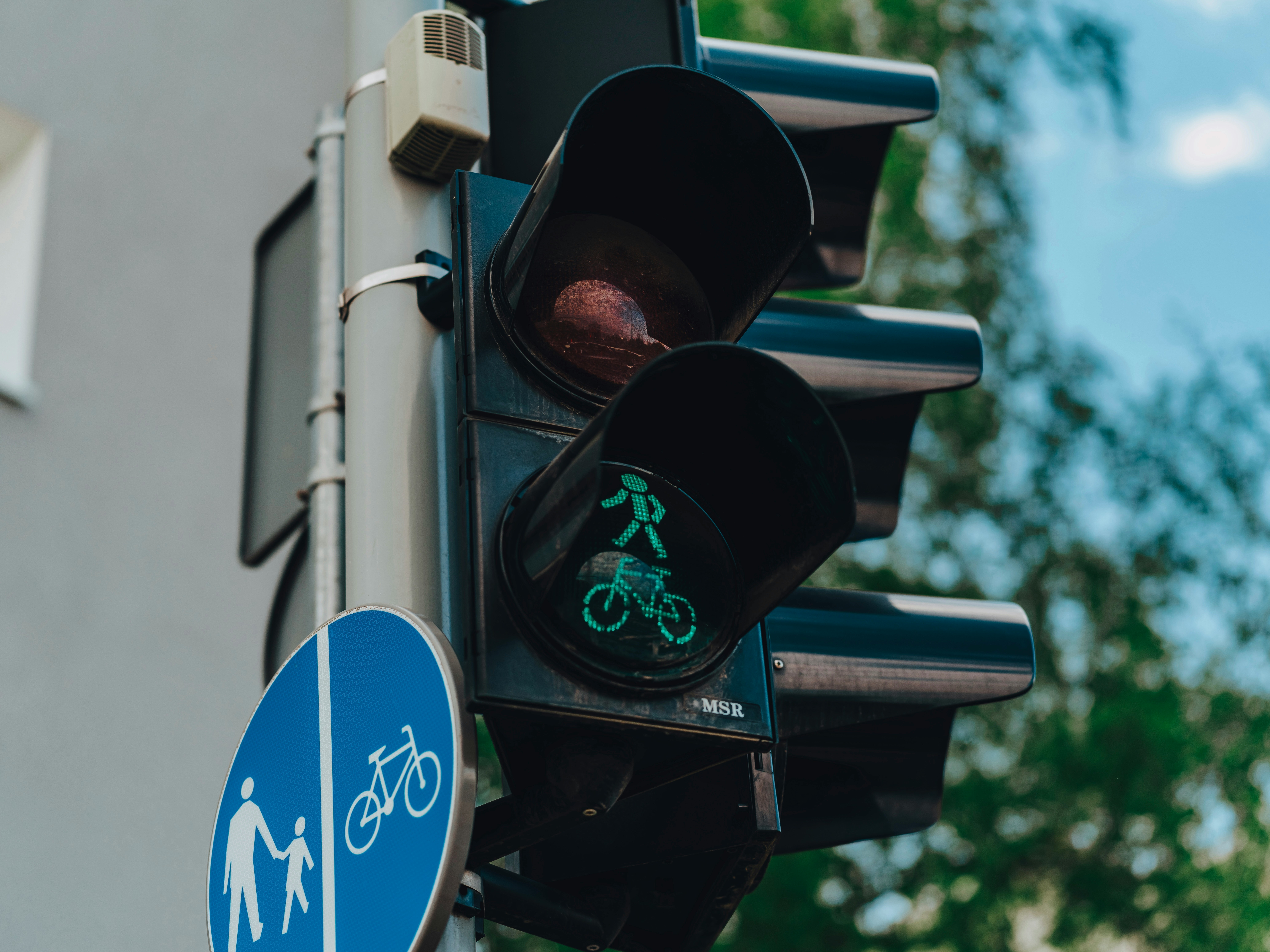 komarov-egor-3DrLzEgEoQw-unsplash