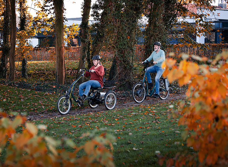 Van Raam tricycles for adults and seniors Kopie