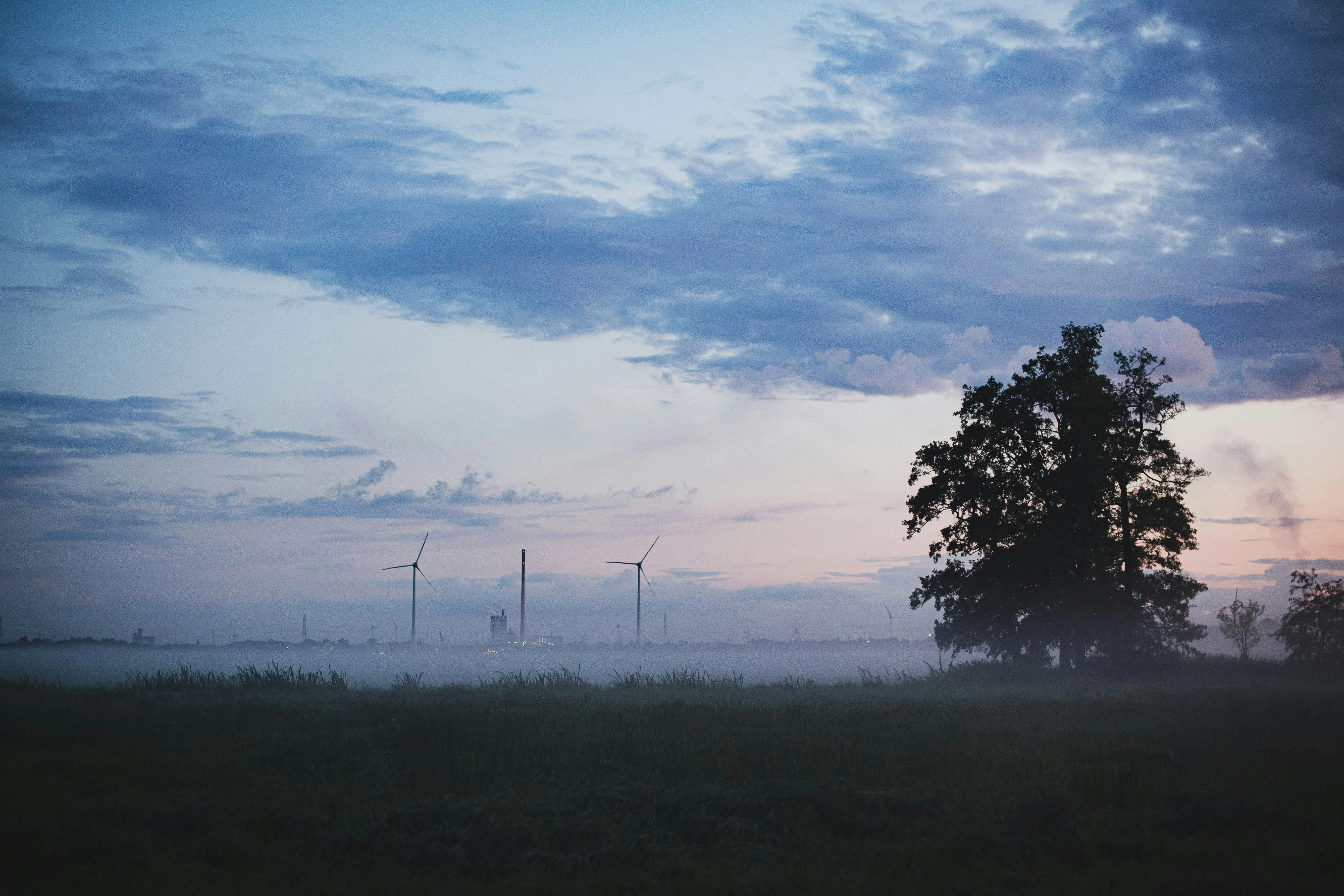 bild-bremen-blockland-mystisch-landschaft
