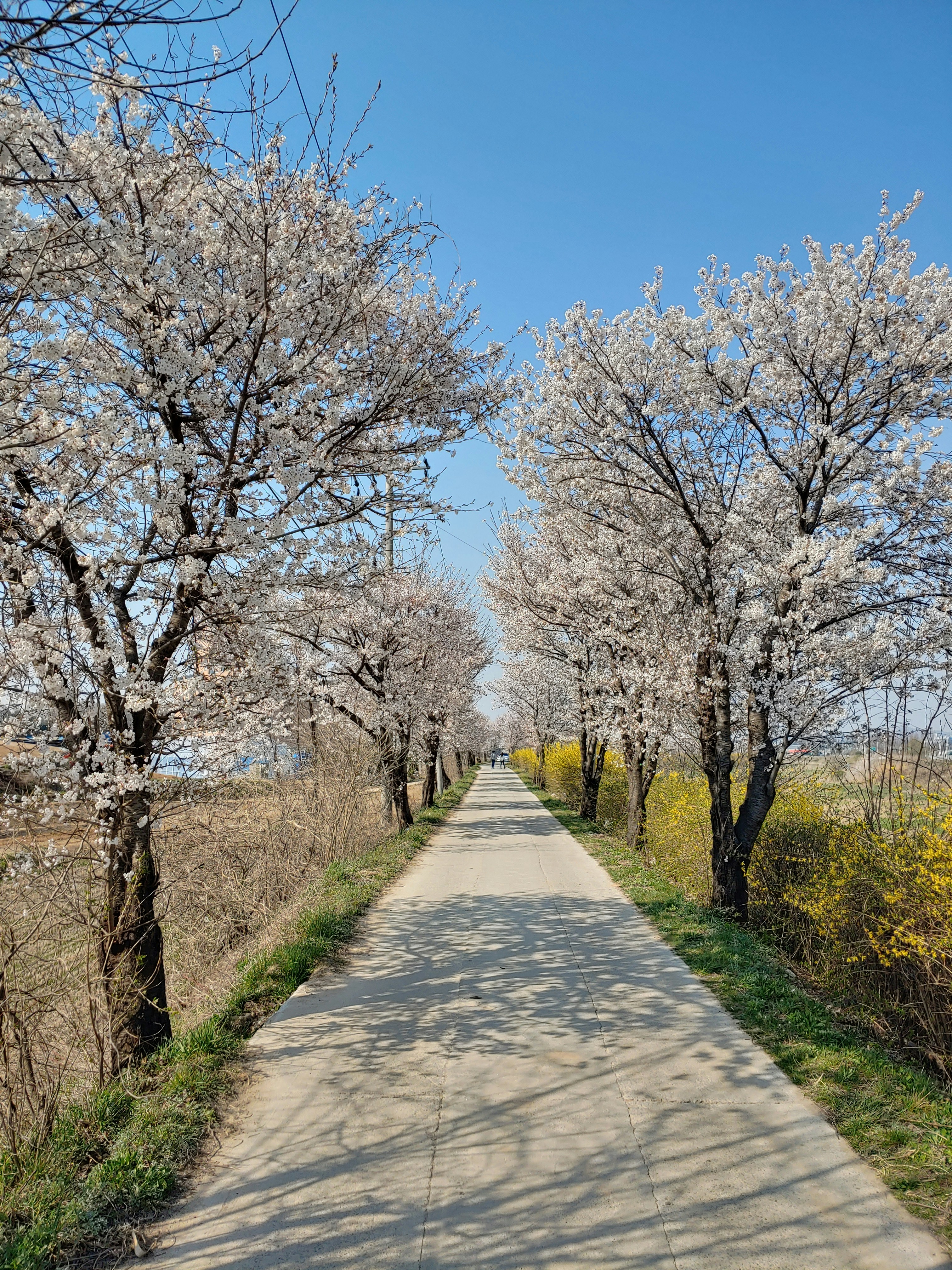 rapsso-LEwp3IO9nY8-unsplash